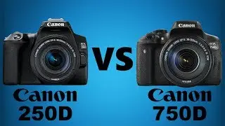 Canon SL3/EOS 250D vs Canon T6i/EOS 750D