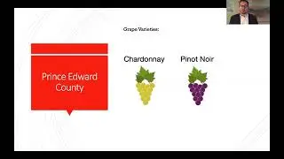 Ontario Wine 101!