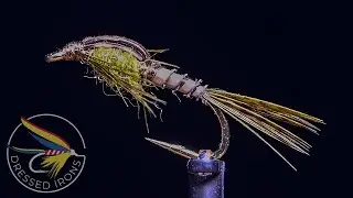 Tying the Biot BWO Nymph - Dressed Irons