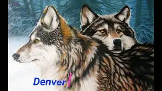 Top 8 Names for Wolf