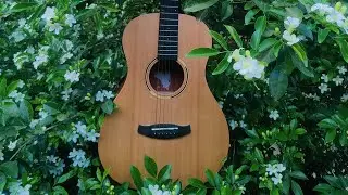 Acoustic Guitar Sad Backing Track In A Major Paranoid