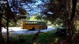 Laurel Loop Debut