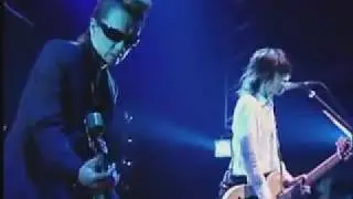 Lucy - Muse Met Morning (live)