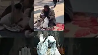 Homeless Man shares his food with Dogs 🥹💔 #starman #superman #humanity #holyspirit #holy #spirit