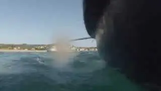 Paseo en bote por la bah&iacute;a de Plentzia