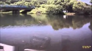 USA Car Crash Compilation Fail 2014   28