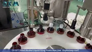How Does an Explosion-Proof Alcohol Liquid Filling Production Line Work?