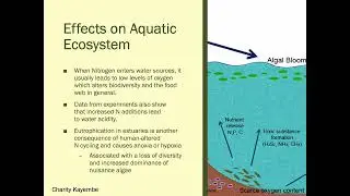 BIO 155 Nitrogen Deposition powerpoint