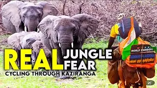 Cycling Through Kaziranga &ndash; What Happened Was Unreal!