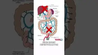#здоровье #медицина #лечение #здоровыйобразжизни  #health #medicine #wellness #doctor