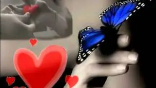 Mariposas en el Cielo