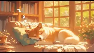 Dreamy Little Cute Dog sleep at library: 1 hour Lofi for Sleep 💖😴🛏️📚