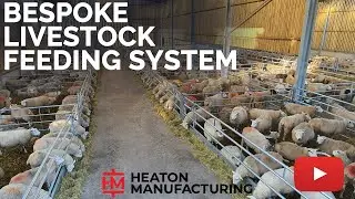 Bespoke Livestock Feeding System | Heaton Manufacturing & Agricultural Fabrication