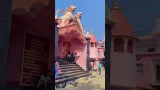 chinmastika mandir kanti muzaffarpur Bihar #youtubeshorts #shorts #video #temple #bihar #song