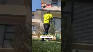 Pest Control in Sydney - Hamro Best Pest Control