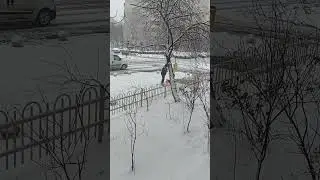 Ninge acum &icirc;n București, Romania