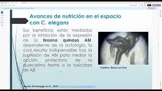 SPACE NUTRITION Caenorhabditis elegans Un sistema modelo para estudiar el efecto de los compuestos