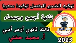 تثنية أجمع وجمعاء،وتوكيد الضمير المتصل توكيدا معنويا/ثالثة ثانوي أزهر أدبي2023/أ. محمد حفني