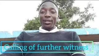 THE SUMMARY OF THE TRIAL PROCESS IN KENYA