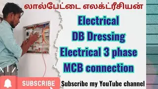 Electrical DB Dressing || Db dressing electrical 3 phase || MCB connection || lalpettai electrician