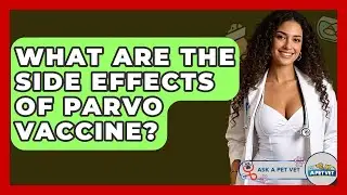 What Are The Side Effects Of Parvo Vaccine? - Ask A Pet Vet