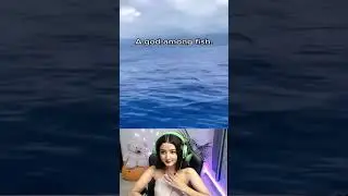Memes Compilation 🤣🤣| Reaction |#Shorts #meme #MemeReactions #Viralmeme #viral #Reactions #fyp