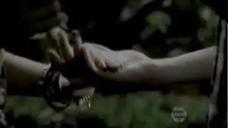 The Secret Circle || Jake/Cassie/Adam || Never Stop