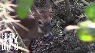 The Hunt for the Marsh Grass Buck