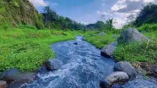 Sleep Soundly with Calming River Sounds & Views of Flowing Water Over Rocks in a Peaceful Forest