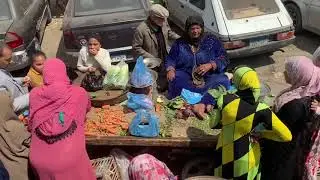 Pharaoh&rsquo;s Palace 1st Day @ Egypt 4-5-2019