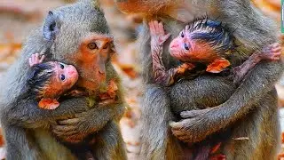 Very Tiny Young Mommy Hugs Baby With The Best Care