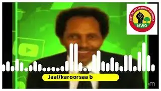 Haasaa Jaal Karoorsaa Bosonaa guyyaa WBO Gamtaa Skandinavia irratti 