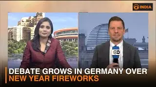 Debate grows in Germany over New Year fireworks