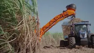 ZAFRA AZUCARERA 2022   SUB GOBERNACION DE BERMEJO