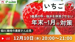 12/10（水）20：00〜【いちご】年末〜1月の対策・1番果の中・後半を停滞させないためのバイオスティミュラント施用を植物生理から解説‼️　低EC栽培の農家さん必見です‼️