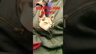 #sleeping #keeping #warm #theroaddog #chilling #with #my #master