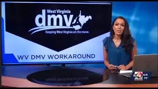 DEPARTMENT OF MOTOR VEHICLE (DMV) UPDATES