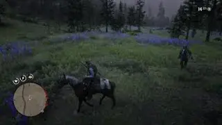 [spoilers?] Is this a spider web? Or a structure later?