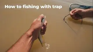 I Tried Fishing With Just My Hands!