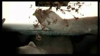 Hacride - Perturbed