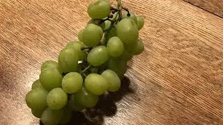 Grape Daily (DAY 1475)