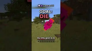 Minecraft, But I'm Invincible