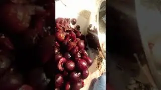 no waste cherry syrup
