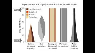Functional role of soil organic matter fractions