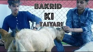 BAKRID KI TAIYARI A LATEST BAKRID SPECIAL VIDEO ||