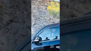 Rajab Butt Spotted With Boys In Murree😱 #rajabfamily #viralvideo #youtubeshorts #shortsfeed