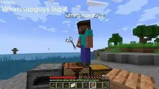 Playing minecraft with the aware and conscious.jar mod with whatssupguys
