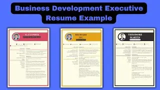Business Development Executive Resume Example | How to make resume for business development manager