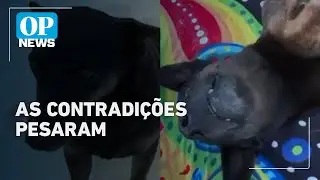 Caso Orelha: contradições do adolescente justificam pedido de internação, diz advogada | O POVO News
