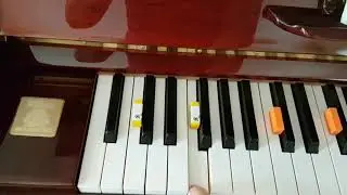 My First Piano Adventure - Jungle Wedding